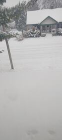Check out all of the snow photos you sent us on January 25th, 2026.
