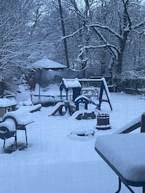 Check out all the photos of the snow you sent us on December 2nd, 2025. Want to see your photo featured? Upload it now inside the Eagle Dayton App.
