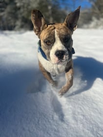 Check out all the photos of the snow you sent us on November 10th, 2025. Want to see your photo featured? Upload it now inside the K99.1FM App.