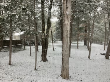 Check out all the photos of the snow you sent us on November 10th, 2025. Want to see your photo featured? Upload it now inside the K99.1FM App.