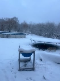 Check out all the photos of the snow you sent us on December 2nd, 2025. Want to see your photo featured? Upload it now inside the Eagle Dayton App.