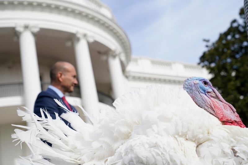 Turkey pardon