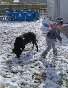 Check out all the photos of the snow you sent us on November 10th, 2025. Want to see your photo featured? Upload it now inside the K99.1FM App.