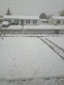 Check out all the photos of the snow you sent us on November 10th, 2025. Want to see your photo featured? Upload it now inside the K99.1FM App.