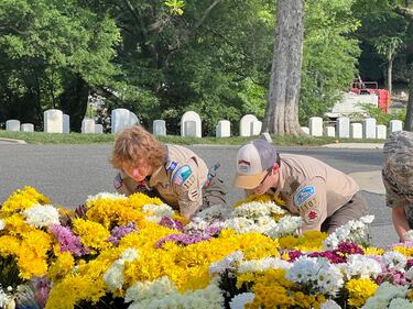 Flags placed at Alexandria National Cemetery in Alexandria, Virginia with the help of the National Capitol Area Council scouts in honor of fallen servicemembers.