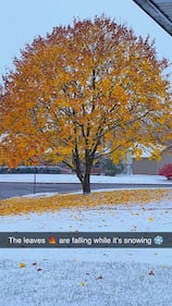 Check out all the photos of the snow you sent us on November 10th, 2025. Want to see your photo featured? Upload it now inside the K99.1FM App.