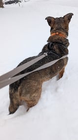 Check out all of the snow photos you sent us on January 25th, 2026.