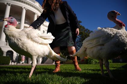 Turkey pardon